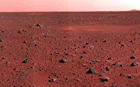 this-common-organism-could-survive-on-mars