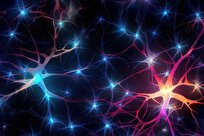 Harvard Psychiatrist Finds Mental Illness Starts in Your Cells