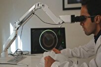 university-of-tehran-researchers-develop-intelligent-dental-image-analysis-system