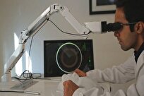 University of Tehran Researchers Develop Intelligent Dental Image Analysis System