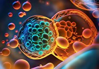 Iranian Scientists at Avicenna Research Institute Develop Cell Therapy for Infertility Treatment