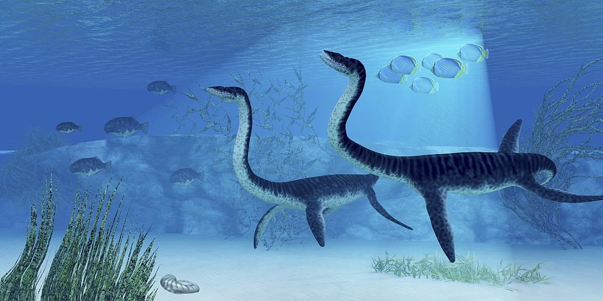 Soft Tissue from 183 Million-Year-Old Jurassic Plesiosaur Analyzed