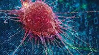 Scientists Discover Natural Compound to Stop Cancer Progression