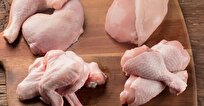 Breakthrough Bioreactor Grows Realistic Chicken Meat