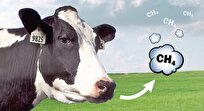 Scientists Develop New Feed That Could Cut Methane Emissions