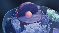 Scientists Decode Origins of Complex Cells