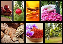 Iran’s Agricultural Exports Increase 29%