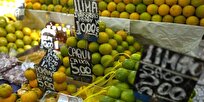 Inflation Forecast in Brazil Decreased to 5.57 Percent