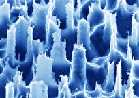 This New Device Detects Health Risks from Thin Air