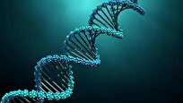 Scientists Discover Simpler Approach to Gene Therapy