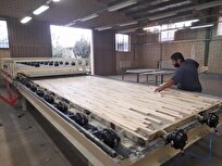 Iranian Experts Produce CLT Panels for Construction Industry
