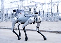 Chinese-Made Robotic Dog Hits 10.3 m/s, Rivals Human Sprinters