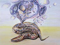 Starved Worms Reveal Hidden Switch for Cellular Aging