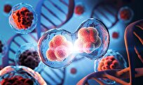CRISPR Uncovers Gene That Supercharges Vitamin D, Stops Tumors in Their Tracks