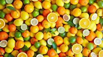 Vitamin C Reactivates Key Growth Genes