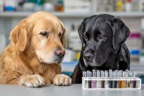 Trained Dogs Detect Parkinson’s with 98 Percent Accuracy