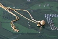 Turning Waste into Silver Using Everyday Oils