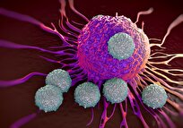 Johns Hopkins Researchers Uncover New Way to Kill Cancer Cells