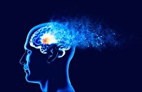 Scientists Discover Alzheimer’s Clues in Brain Decades before Symptoms Emerge