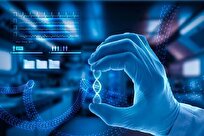 Iran’s Nano Market Witnesses 97 Percent Growth in 10 Years