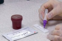 Iranian Firm Produces Nano-Based Kits for Rapid Diagnosis of Colon Cancer, Stomach Infections