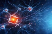 Overworked Brain Cells May Hold Key to Parkinson’s