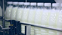 Iranian Companies Indigenizing Production of Dairy Starters to Save 40 Million Dollars