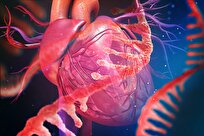 Scientists Reverse Stroke Damage with Stem Cells