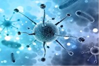 Iranian Scientists Produce Engineered Oncolytic Virus for Treatment of Glioblastoma Cancer