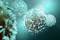 Scientists Find Way to ‘Bulletproof’ T Cells against Cancer