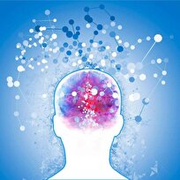 ‘Young’ Immune Cells Reverse Signs of Alzheimer’s, Aging