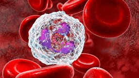 Iranian Scientists Produce Rapid-Release Oral Nano-Tablet to Control Blood Pressure
