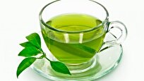 Green Tea Shows Promise in Fighting Obesity, Diabetes
