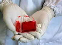 Iran’s Royan Institute Saves 250,000 Cord Blood Samples in Iran