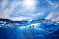 Each Winter These Tiny Ocean Travelers Bury Millions of Tons of Carbon