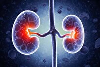 Scientists Find Kidney-Saving microRNA in a World-First Discovery