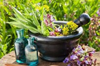 Iran to Develop Value Chain of Medicinal Plants Technology in Northern Province