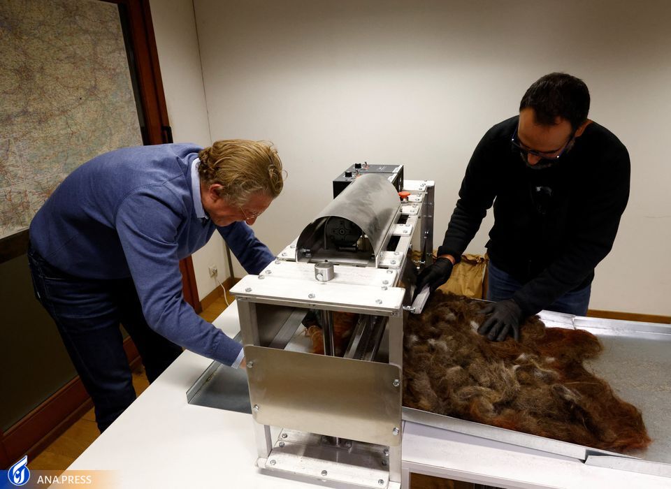 بازیافت موی انسان برای حفاظت از محیط زیست بازیافت موی انسان برای حفاظت از محیط زیست