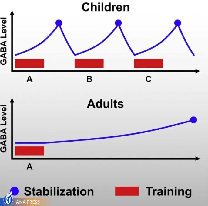 چرا بچهها باهوشتر هستند؟ چرا بچهها باهوشتر هستند؟