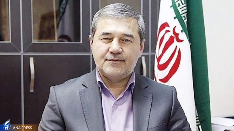 یک نظام آموزشی ریشه‌دا