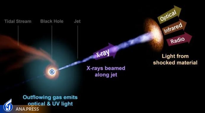 سیاهچالهای در حال نابودی ستارهای شناسایی شد سیاهچالهای در حال نابودی ستارهای شناسایی شد