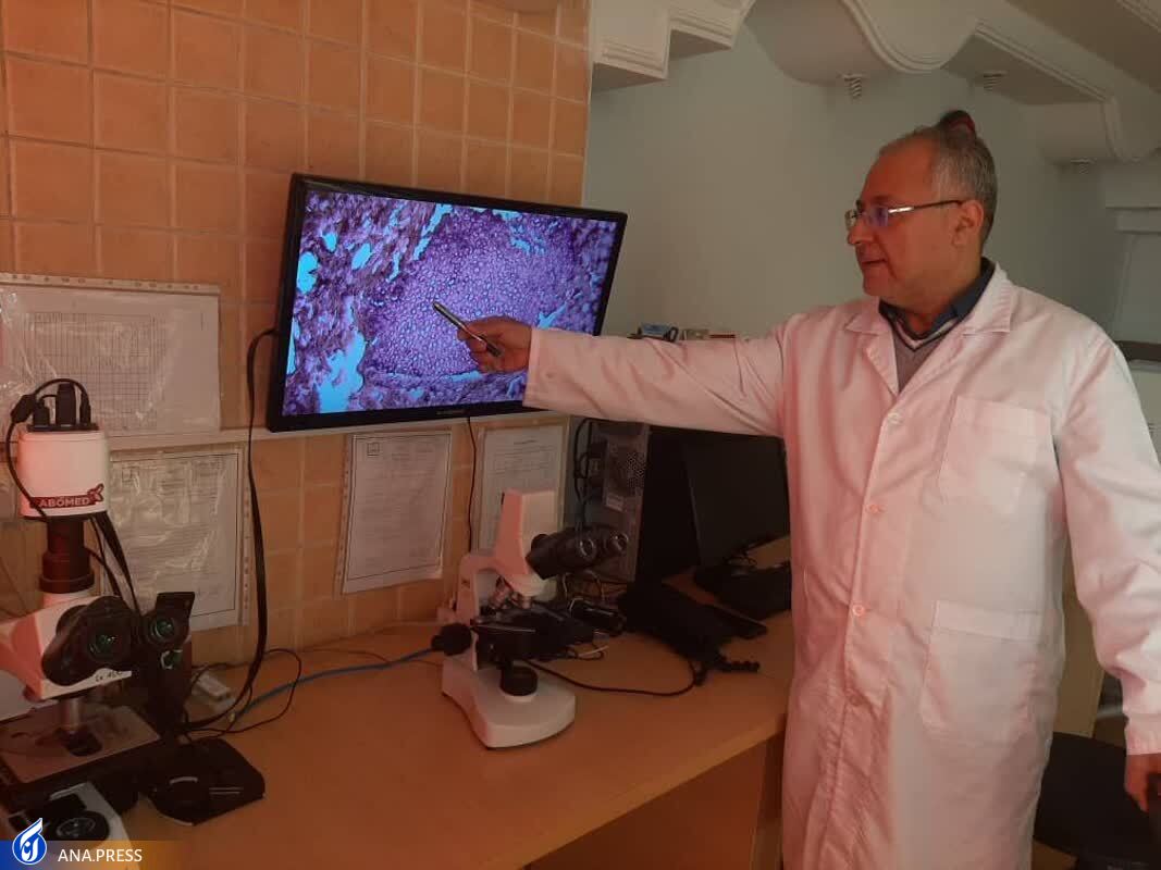 شناسایی بافتهای حیوانی غیرمجاز در مواد غذایی شناسایی بافتهای حیوانی غیرمجاز در مواد غذایی