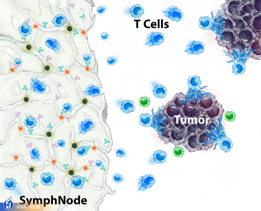 نتایج خیرهکننده درمان سرطان با ایمپلنت اسفنجی حاوی نانوذرات نتایج خیرهکننده درمان سرطان با ایمپلنت اسفنجی حاوی نانوذرات