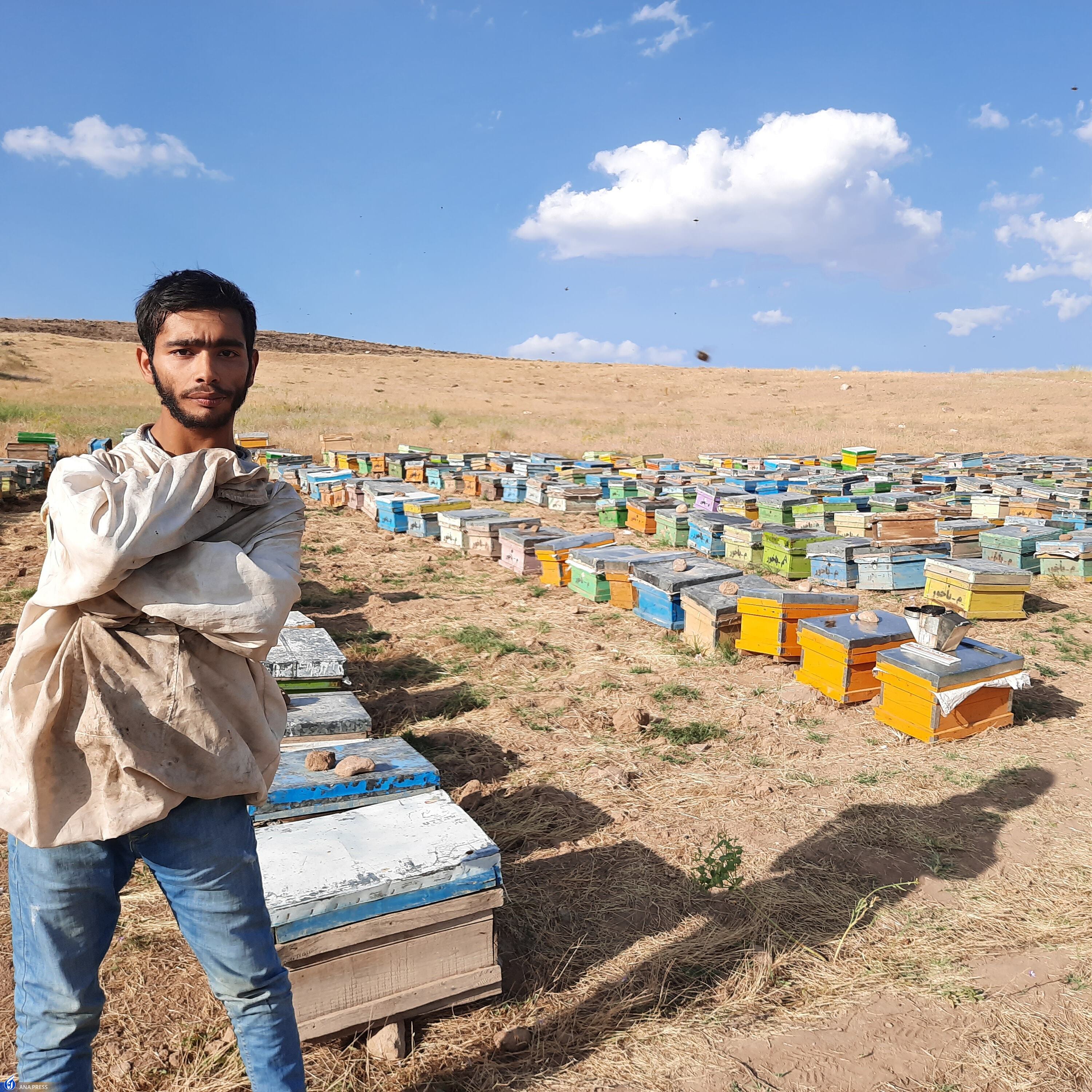 موفقیت از پشت کوه‌های محدودیت