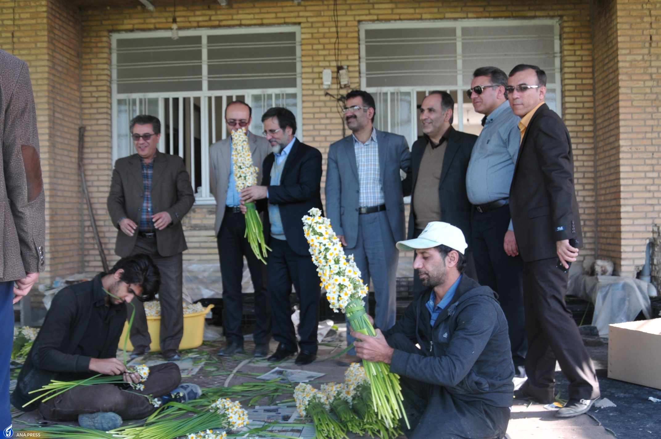 مزرعه تحقیقاتی پژوهشی 52 هکتاری نرگس بهبهان؛ ظرفیتی که مغفول مانده است مزرعه تحقیقاتی پژوهشی 52 هکتاری نرگس بهبهان؛ ظرفیتی که مغفول مانده است