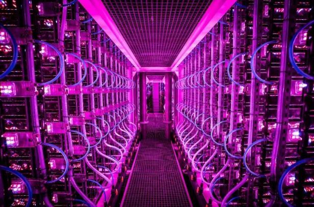 دانشمندان توصیه میکنند گوشت گاو را با این جایگزین کنید دانشمندان توصیه میکنند گوشت گاو را با این جایگزین کنید