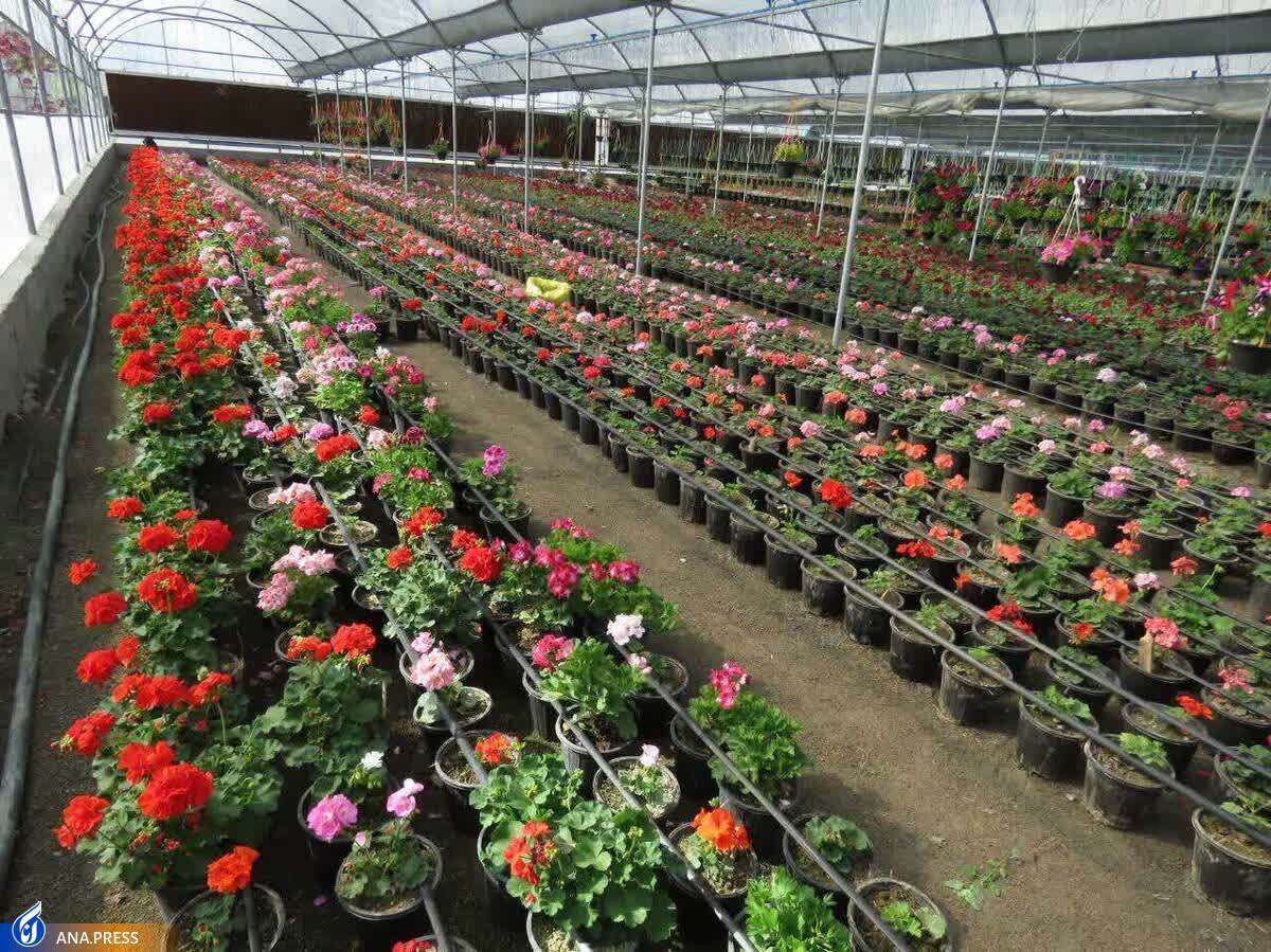 ۴ فاز استقرار تیم‌های استارت‌آپی در شتابدهنده‌ سراهای نوآوری