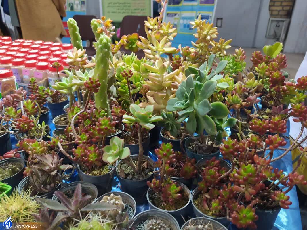 نمایش دستاورد‌های تحقیقاتی و پژوهشی دانشگاه آزاد در کرمانشاه