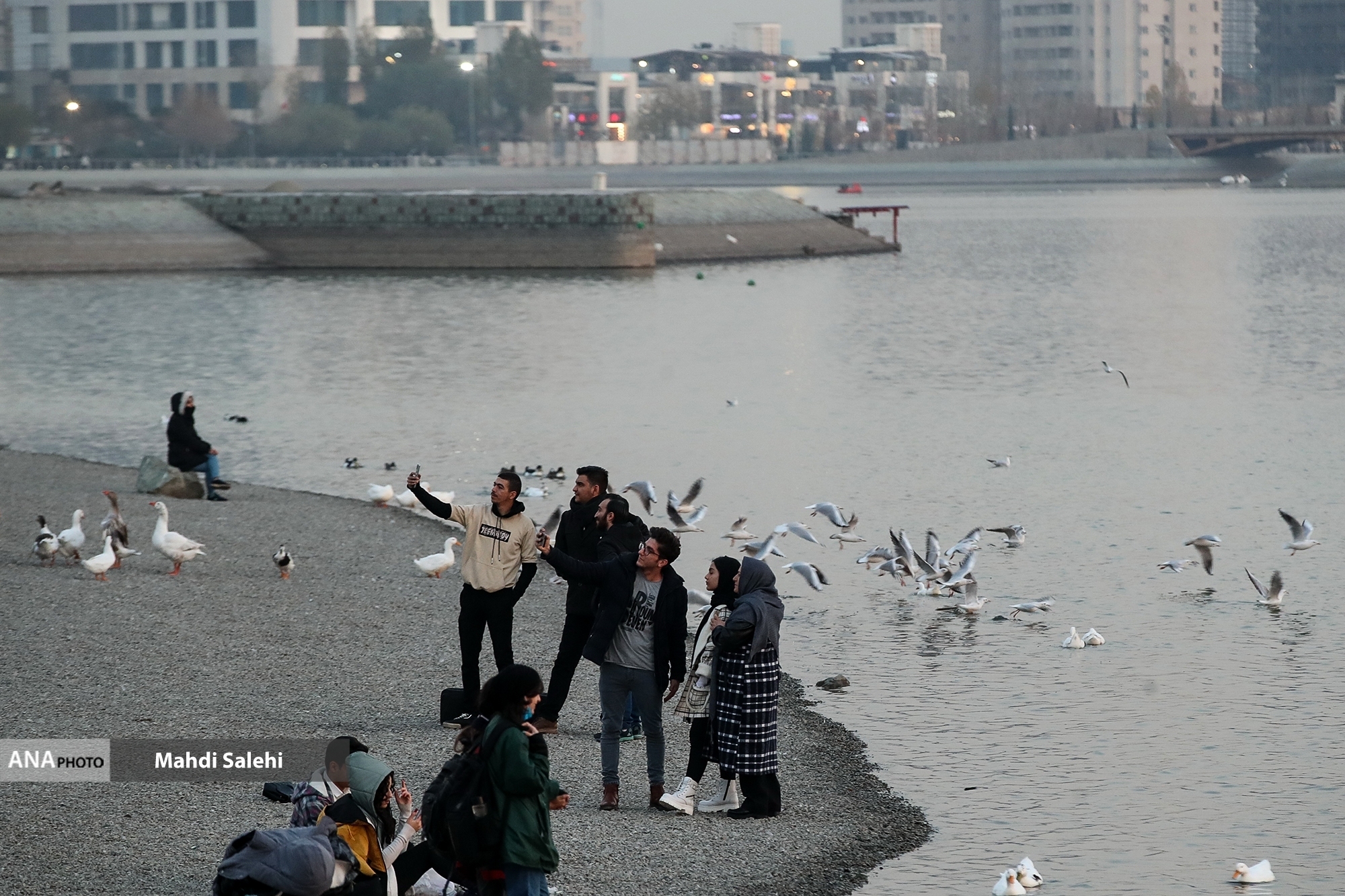 دریاچه مصنوعی که توقفگاه زمستانه مهاجران شمالی شد