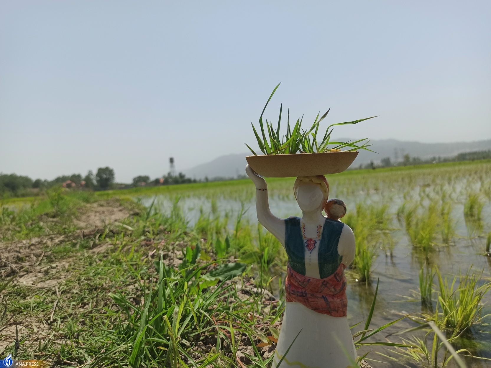 فروش تولیدات برای فعالان صنایع دستی یک مسئله است فروش تولیدات برای فعالان صنایع دستی یک مسئله است